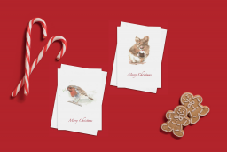Pack of 4 cards – ¨Little Pudding¨ & ¨Little Robin Redbreast¨