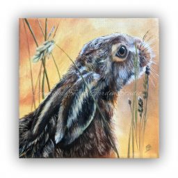 Workshop – Tuesday 2nd November 2021 – Beautiful hare in oil