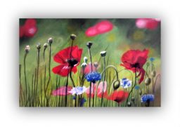 Workshop – Tuesday 19th July 2022 – Wild flowers in pastels & pastel pencils