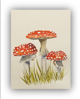 Workshop –  Saturday 9th March 2024 – Fun with Watercolours
